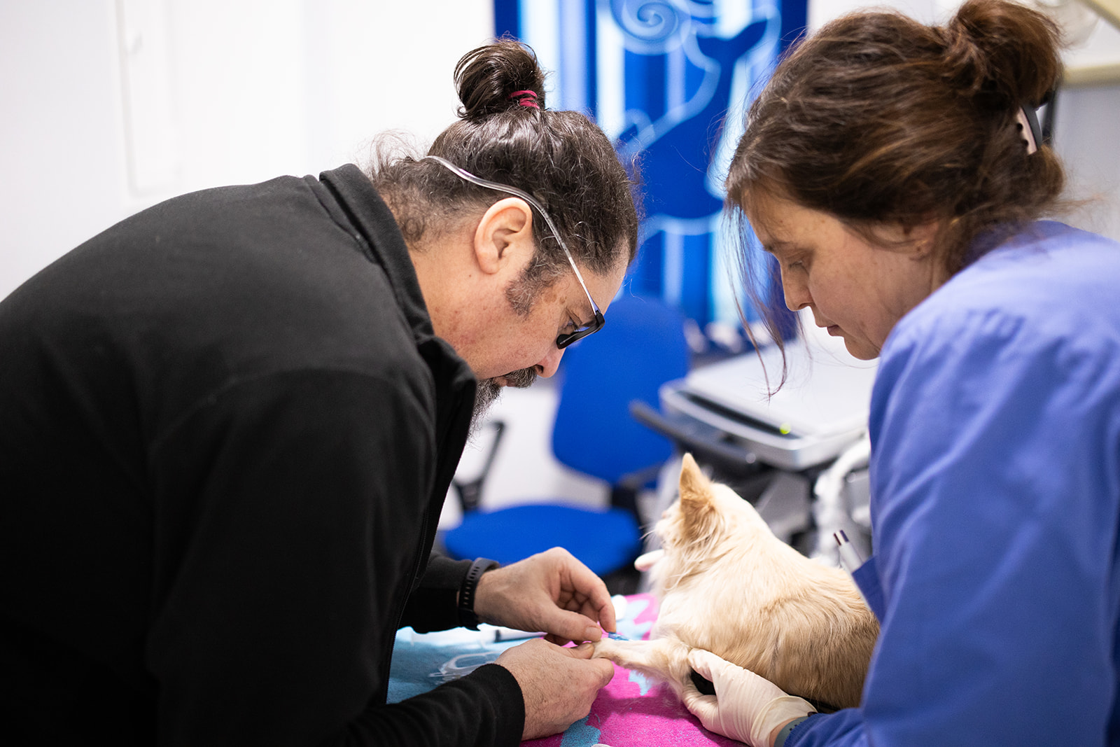 Clinica Veterinaria Orlando Marzotto